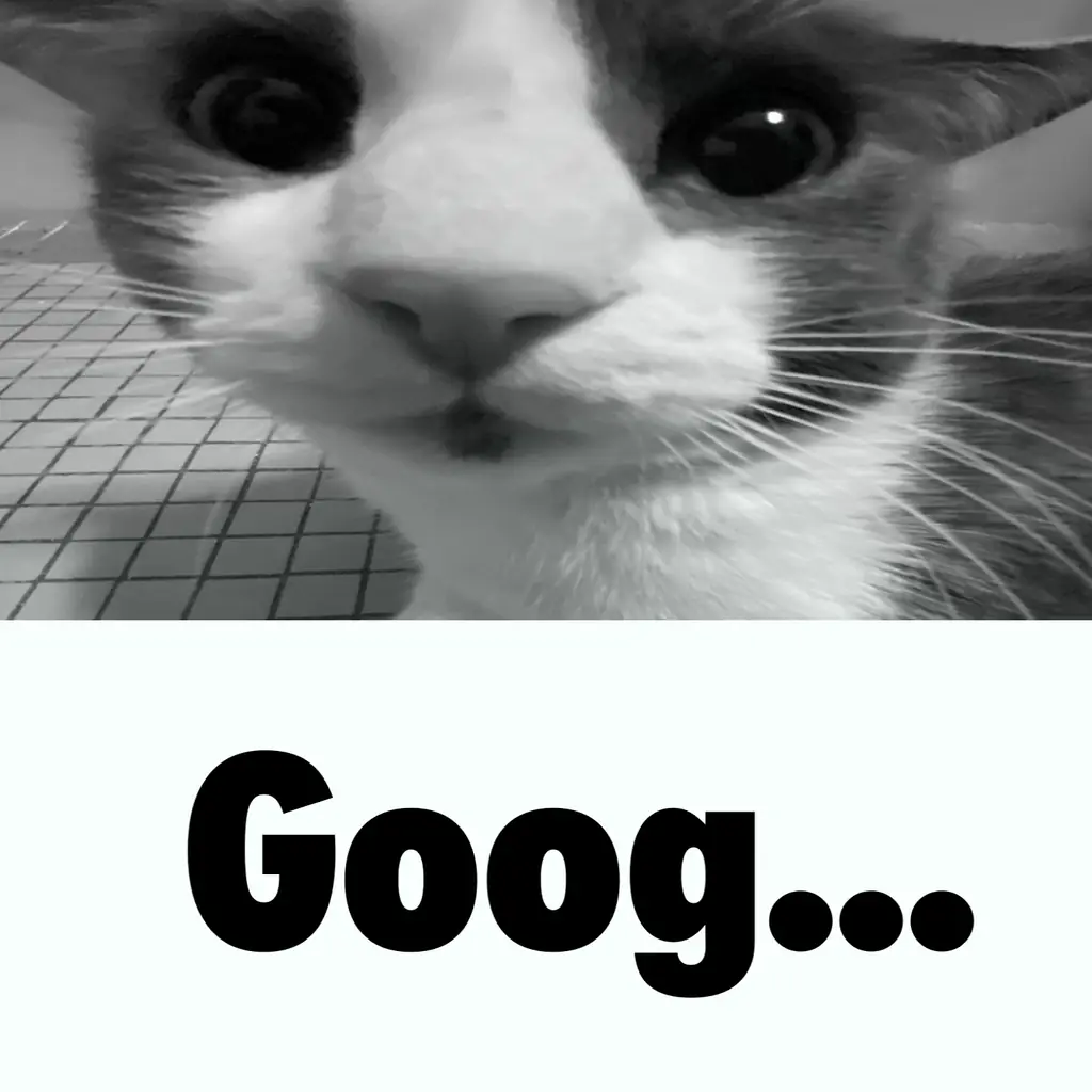 a picture of a cat named shark with the caption "Goog...".